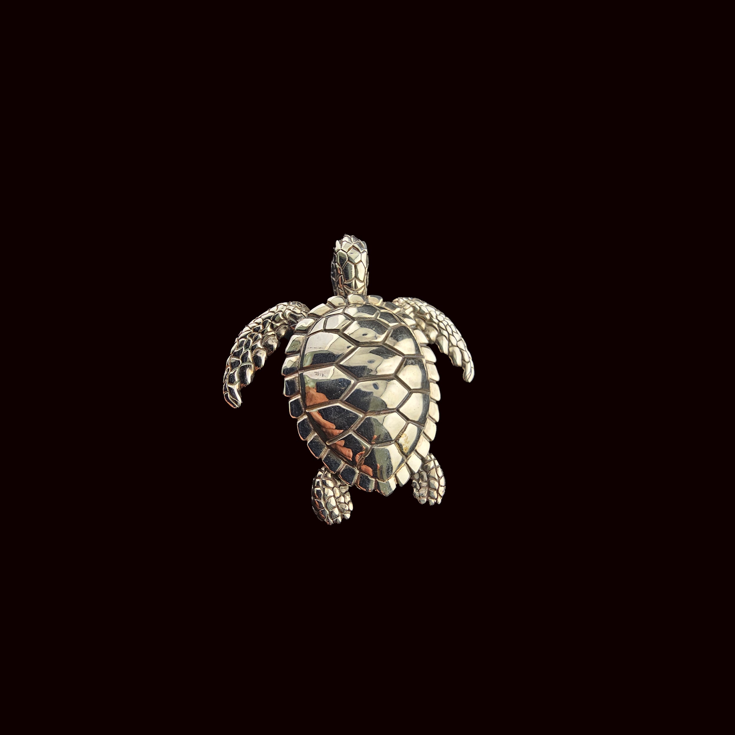 Aegis Turtle Pendant