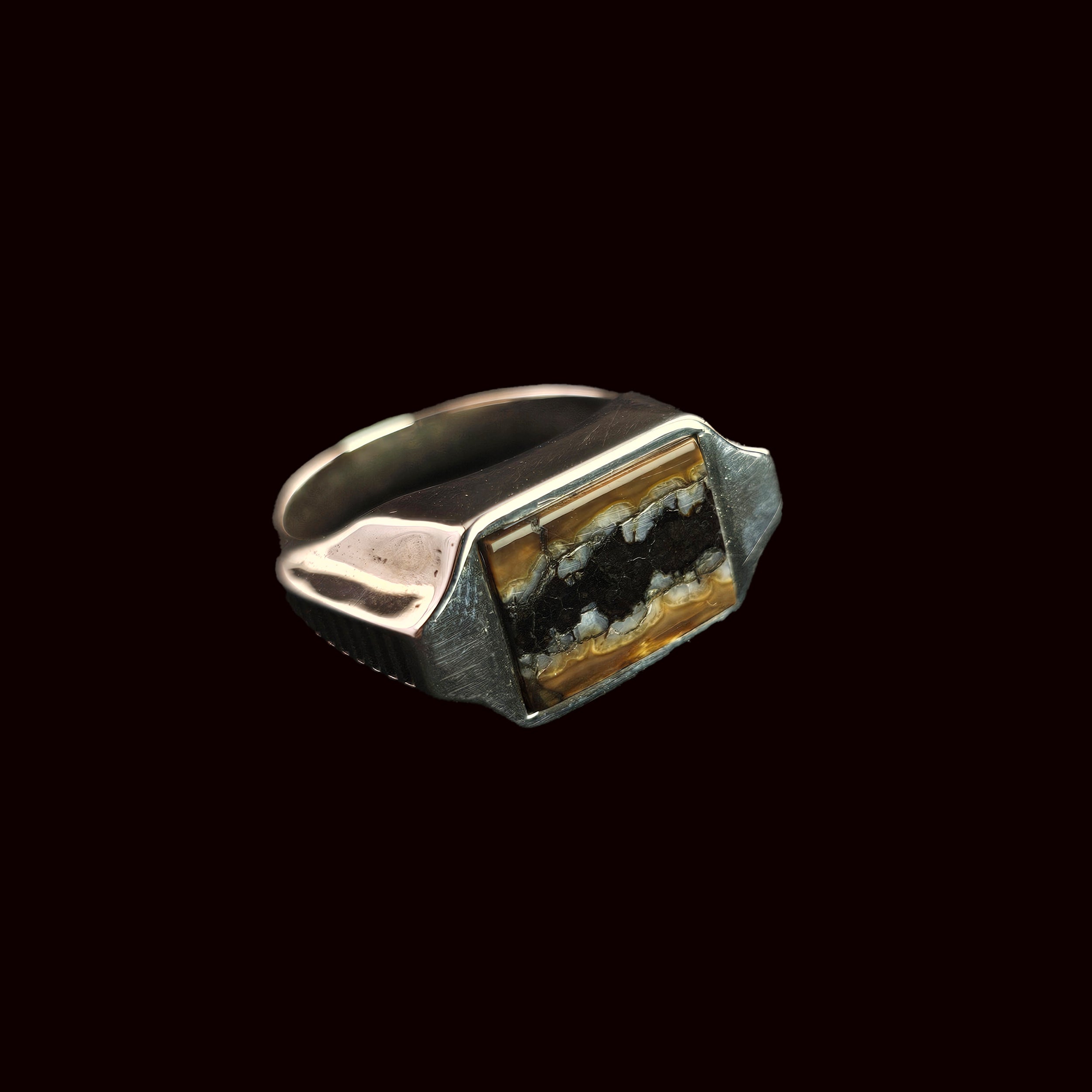 Jurassic Sigil Ring